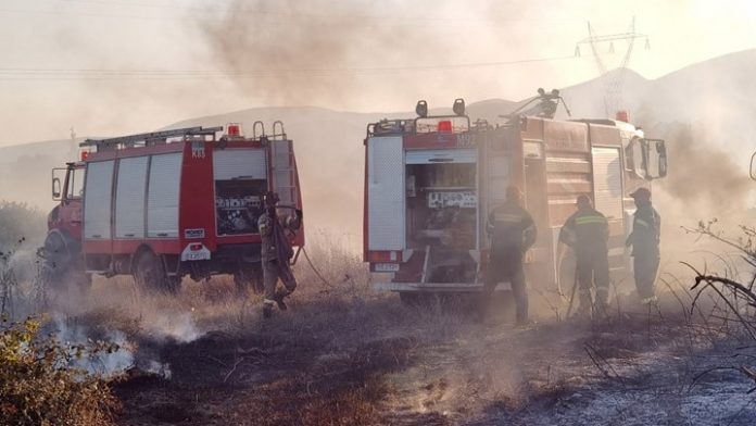 Φωτιά στη Βοιωτία: Απομακρύνονται κάτοικοι διά θαλάσσης στον Άγιο Βασίλειο