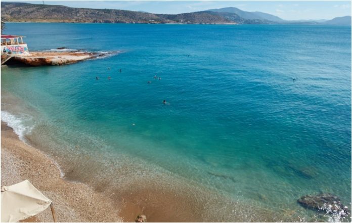 Αναφορές λαγοκέφαλου στη Βάρκιζα – Τι λέει ο Δήμος για το καταγγελλόμενο περιστατικό