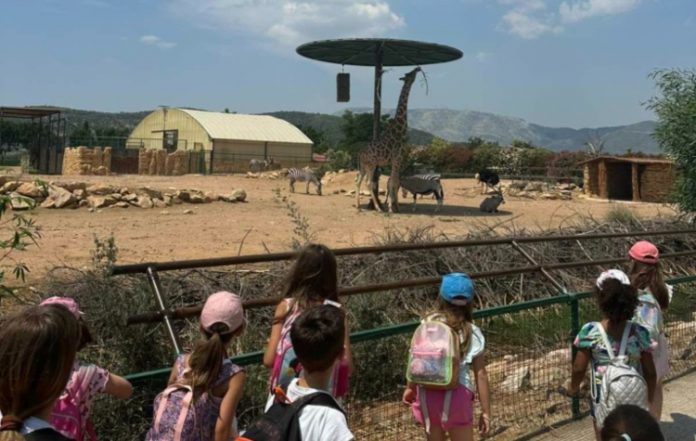 «Αθλοδιακοπές 2026»: Ξεκινούν οι εγγραφές για το καλοκαιρινό πρόγραμμα στον Δήμο Μοσχάτου–Ταύρου
