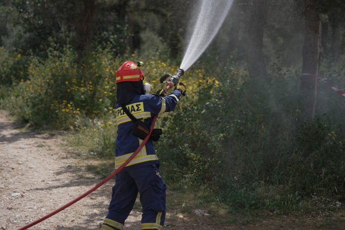Σε εξέλιξη πυρκαγιά στον Λουτρόπυργο Αττικής
