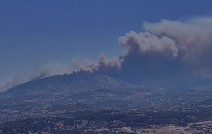 «Η Νέα Εποχή των Δασικών Πυρκαγιών» – Ενημερωτική εκδήλωση στο Κορωπί