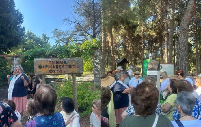 Στον Βοτανικό Κήπο Διομήδους τα ΚΑΠΗ Δάφνης-Υμηττού