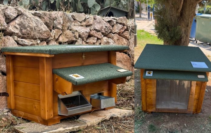Δέκα νέα σημεία σίτισης για αδέσποτες γάτες σε Βούλα και Βουλιαγμένη