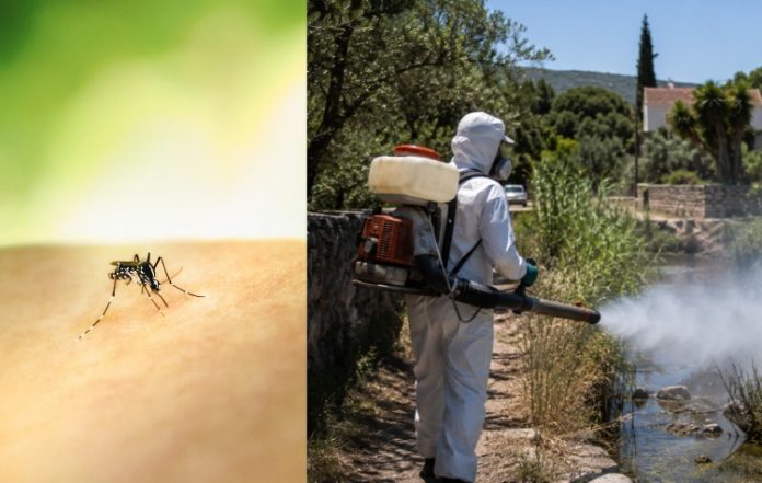 Κρούσμα του ιού του Δυτικού Νείλου στον Δήμο 3Β – Συνεχίζονται οι ψεκασμοί