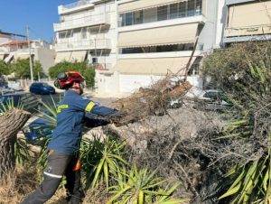 Εκτεταμένοι καθαρισμοί, επιστράτευση τεχνολογίας AI και δυναμική συνδρομή εθελοντών, εντός και εκτός ορίων