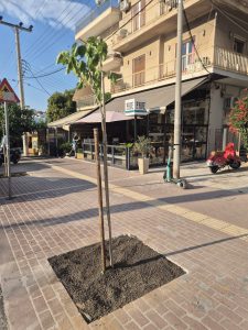 Δεντροφυτεύσεων...συνέχεια στον Δήμο Ηλιούπολης