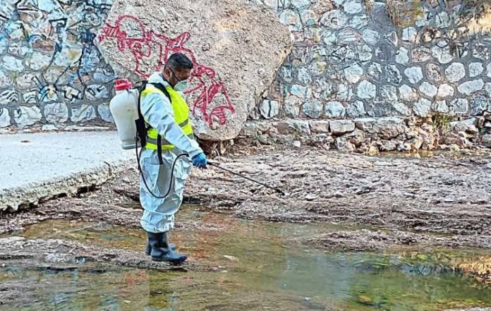 Καλλιθέα: Ολοκληρώθηκαν οι πρώτες φάσεις απεντόμωσης, μυοκτονίας και προνυμφοκτονίας για το 2026