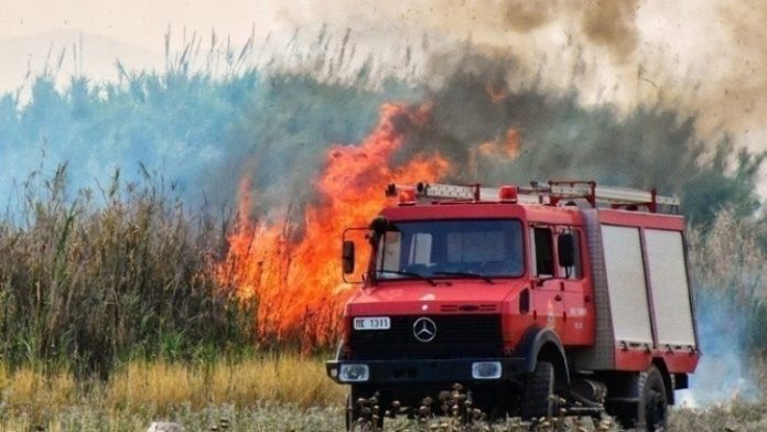 Δήμος Ζωγράφου: «Κύμα» αλληλεγγύης για τους πυρόπληκτους - Συγκέντρωση τροφίμων και υγειονομικού υλικού