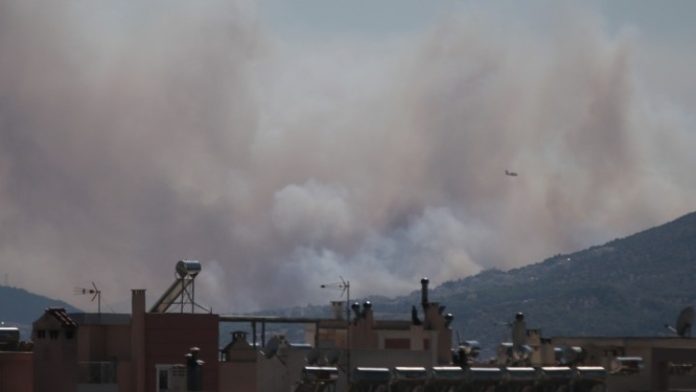 Φωτιά στην Περιφερειακή Αιγάλεω - Ενισχύθηκαν οι πυροσβεστικές δυνάμεις