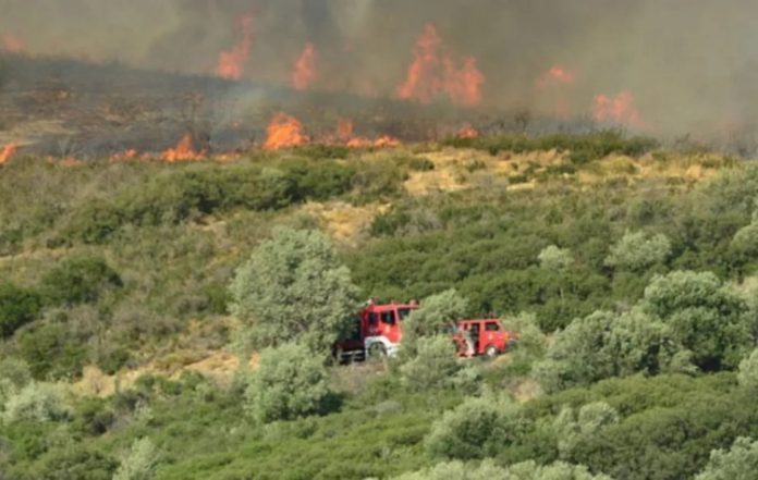 Αργιθέα Κορωπίου: Πυρκαγιά σε χαμηλή βλάστηση - Ενημερωτικό μήνυμα του 112