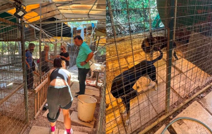 Παλαιό Φάληρο: Συγκέντρωση ειδών για την ενίσχυση της «Ηθικής Φάρμας»