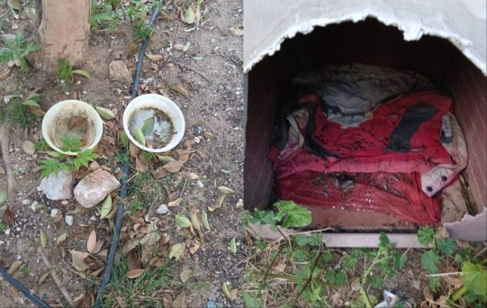 Φιλόζωοι Δάφνης-Υμηττού: «Τα αδέσποτα δεν μπορούν να περιμένουν»