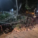 Άμεση ήταν η παρέμβαση της δημοτικής Αρχής σε περιστατικό πτώσης δέντρου σε όχημα στην Ηλιούπολη