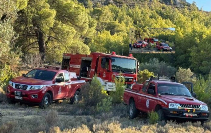 Μαχητές της φωτιάς οι Εθελοντές Δασοπυροσβέστες Ελληνικού - Αργυρούπολης