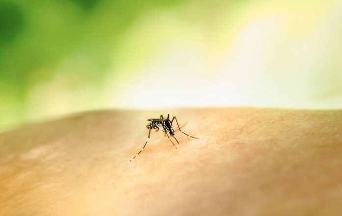 Ιός Δυτικού Νείλου: Κρούσματα και περιοχές υψηλού κινδύνου στον Νότιο Τομέα