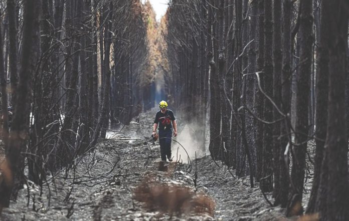 Πυρκαγιές στην Ευρώπη: Τεράστιο κόστος