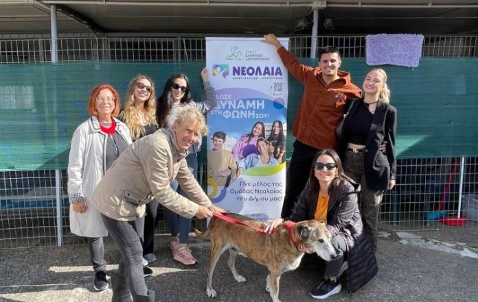 Νέα δράση του Συμβουλίου Νεολαίας του Δήμου για την προστασία των αδέσποτων
