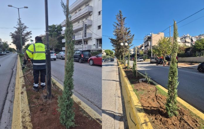 Δεντροφυτεύσεις μεταμορφώνουν την Ελευθερίου Βενιζέλου