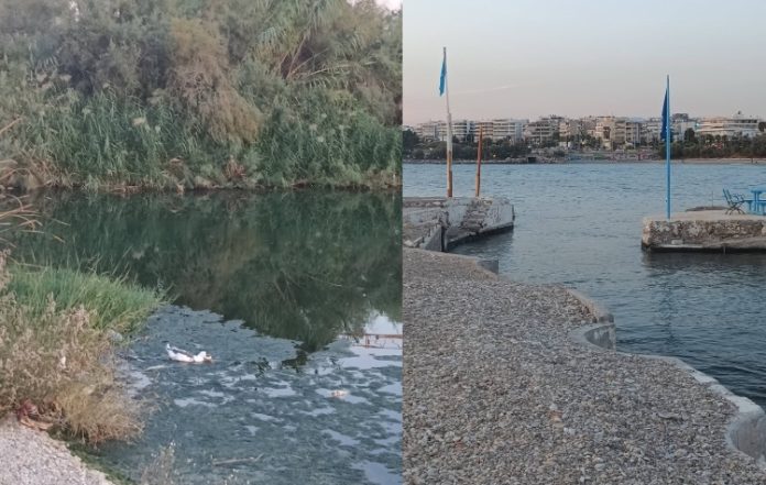 Αναβολή για το ‘27 στην υπόθεση του υγρότοπου στον Άλιμο